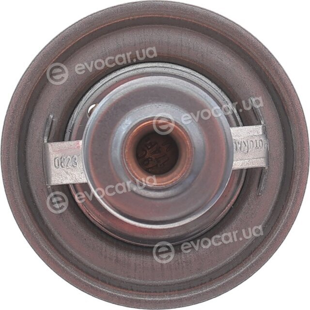 Motorad 269-79K