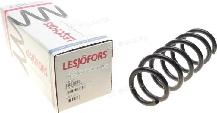 Lesjofors 4008560