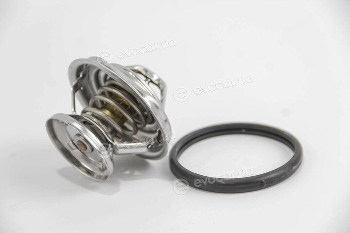 Mahle TX 29 80D