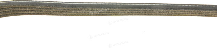 Dayco 4PK844EE