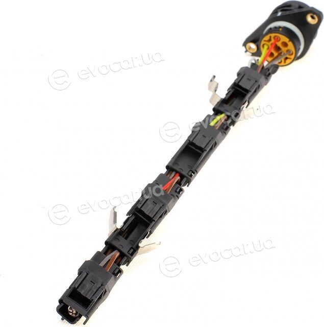 Solgy 412012