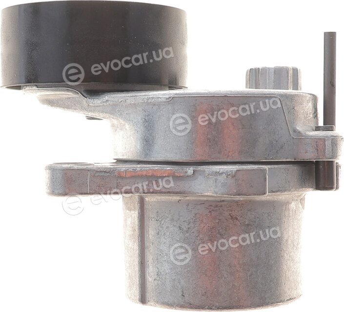 Continental 6PK2030K2
