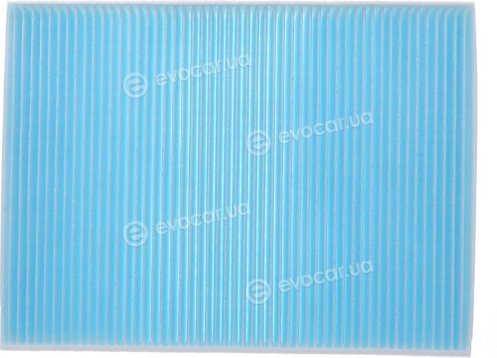 Blue Print ADBP250006
