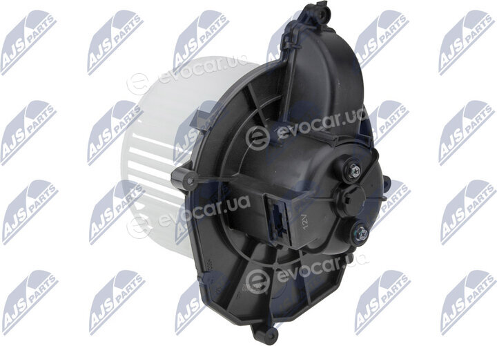 NTY EWN-CT-002