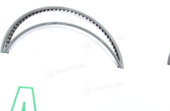 Borsehung B10361