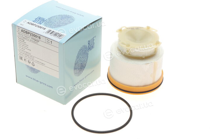 Blue Print ADBP230016