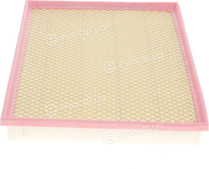 Solgy 103047