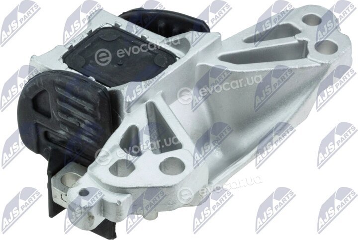 NTY ZPS-CT-031