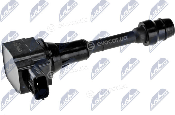 NTY ECZ-NS-004