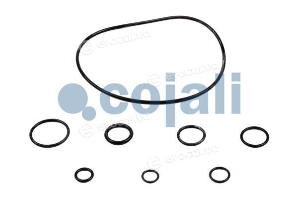 Cojali 6034026