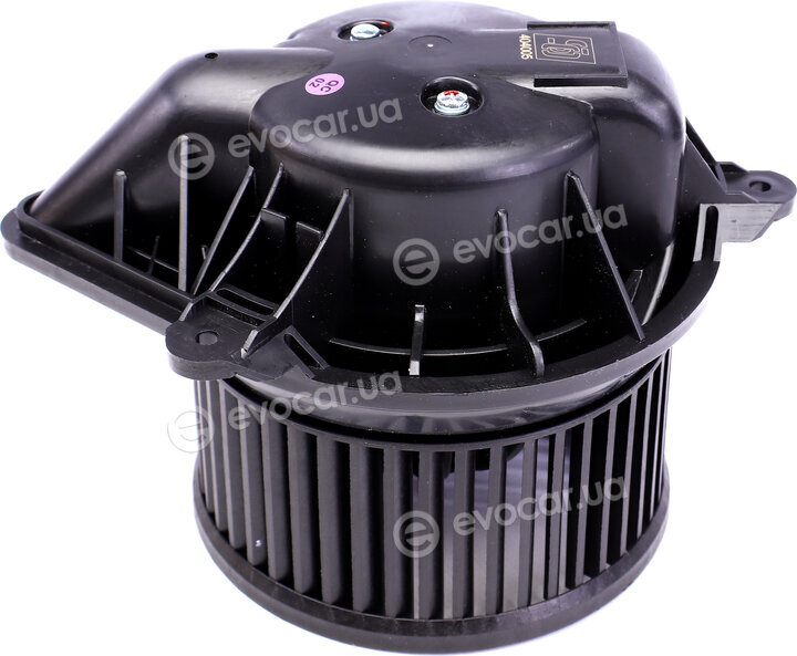 Solgy 404005