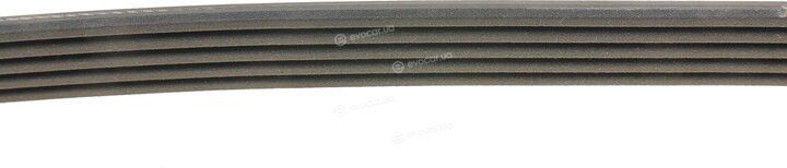 Dayco 5PK725