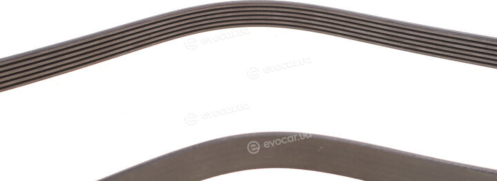 Continental 6PK1157 EXTRA K1