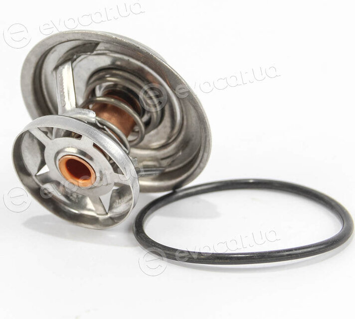 Motorad 251-82K