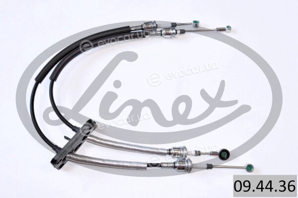 Linex 09.44.36