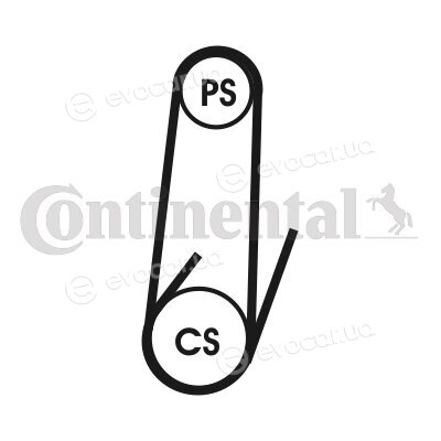 Continental 4PK1022 ELAST