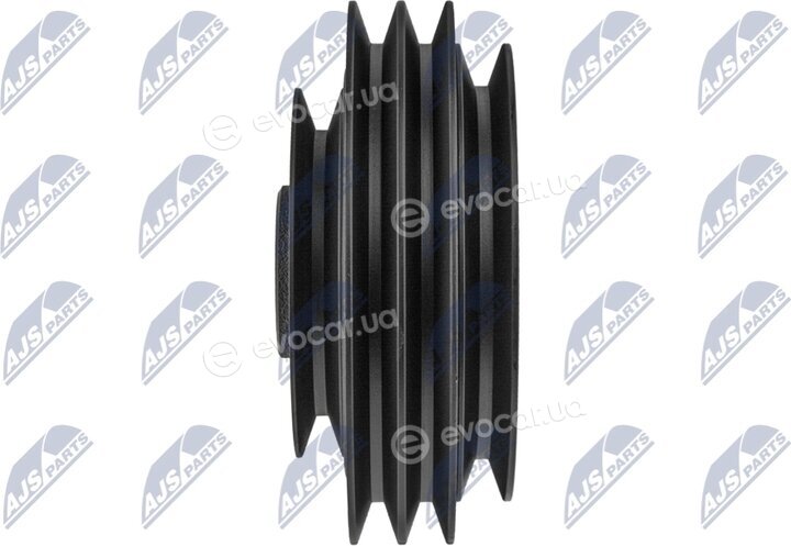 NTY RKP-NS-006