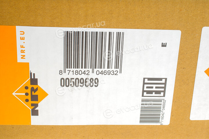 NRF 509689