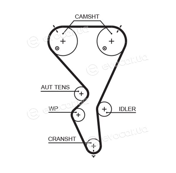 Gates K015615XS