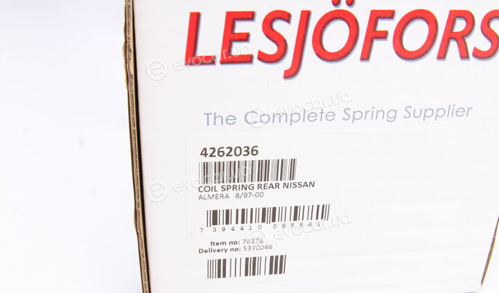 Lesjofors 4262036