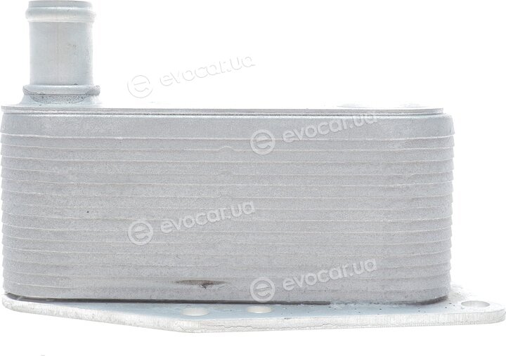Adler 11427787698