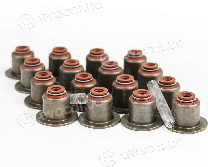 Elring 530.070