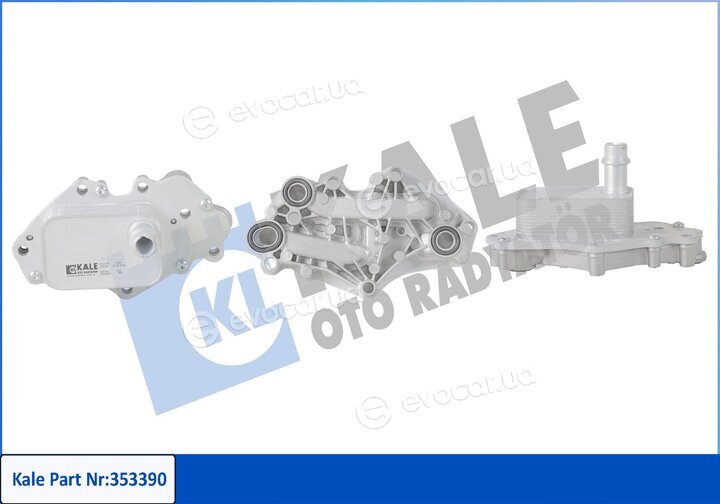Kale 353390