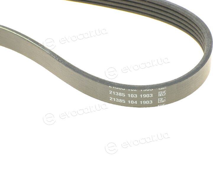 Continental 5PK1121 EXTRA