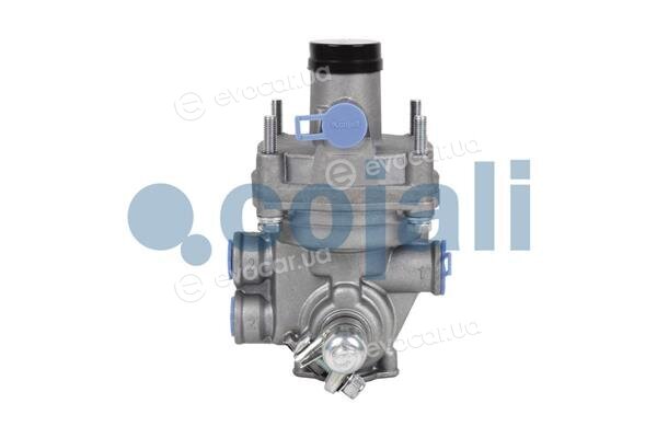 Cojali 2220351