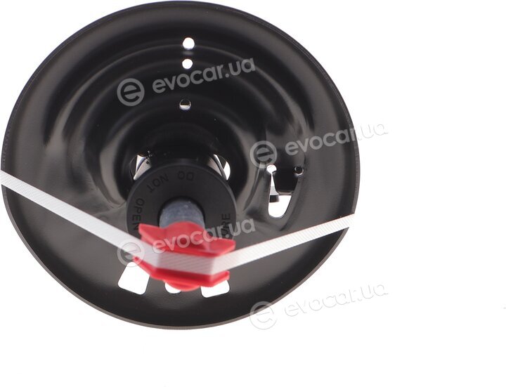 Sachs 315 296