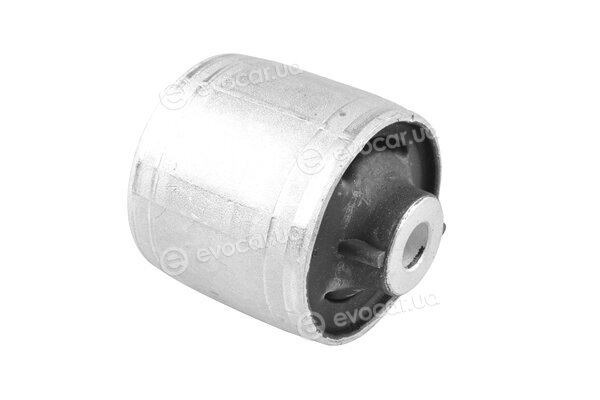 Tedgum TED18161