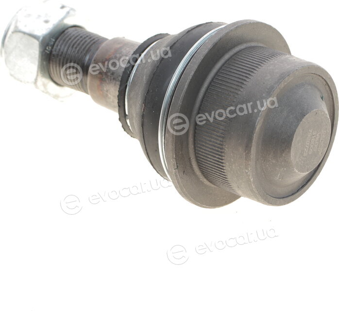 SKF VKDS 318009