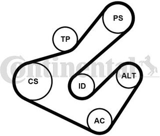 Continental / Contitech 7PK1795K2