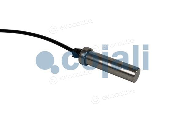 Cojali 2261037