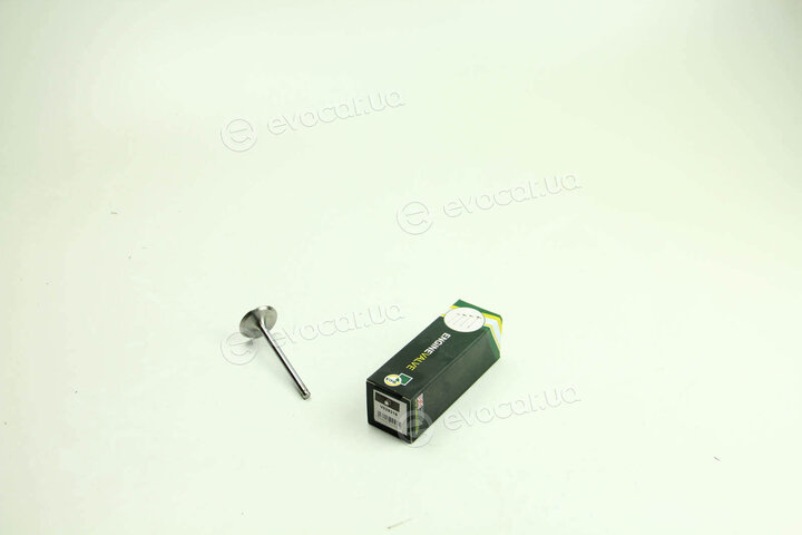 BGA V029316