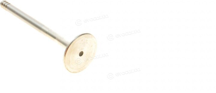 Borsehung B19000