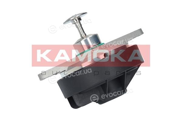 Kamoka 19011