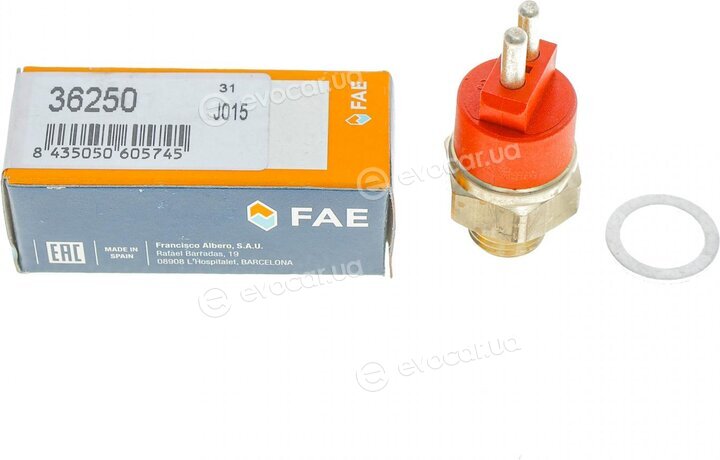 FAE 36250