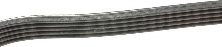 Dayco 5PK1125