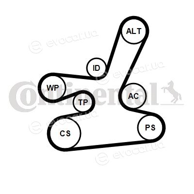 Continental 6DPK1817WP1