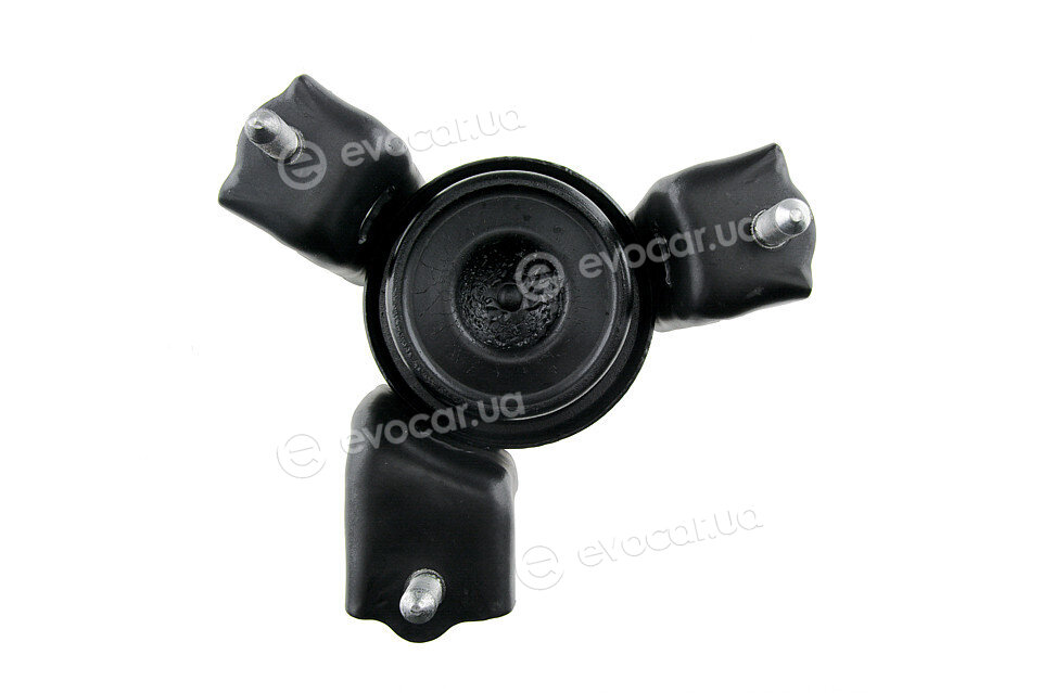 NTY ZPS-TY-005
