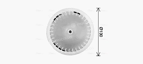 AVA BW8614