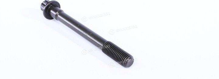Victor Reinz 14-55002-01
