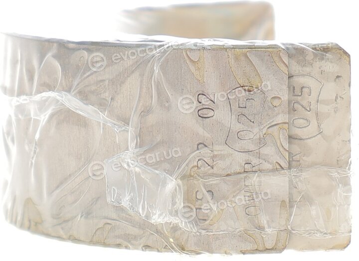 Mahle 029 PL 21919 025