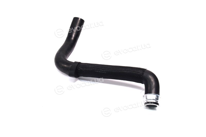 Sasic 3400061
