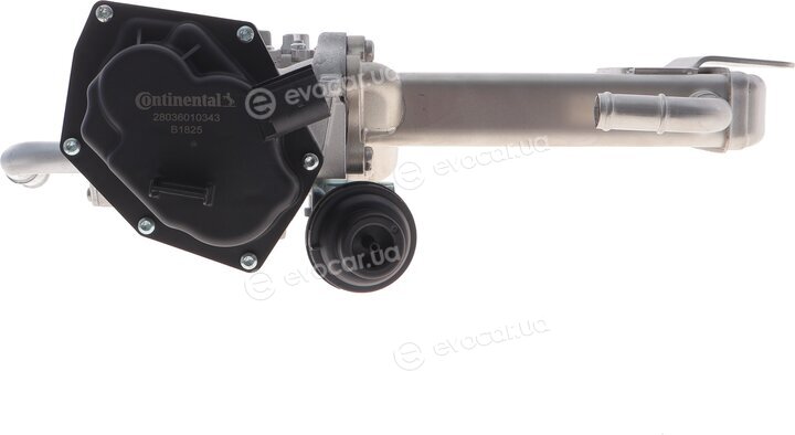 Continental 2803601034302