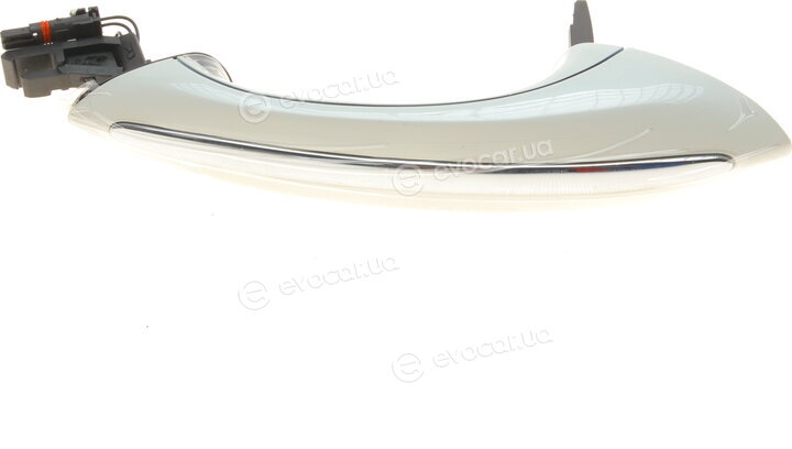 Solgy 305071