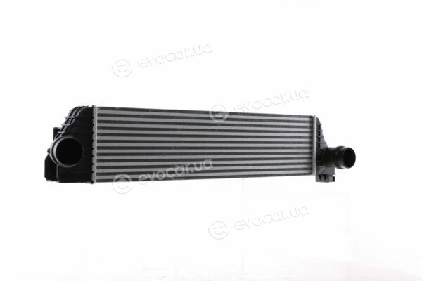 Mahle CI 386 000S