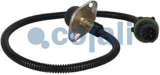 Cojali 2260253