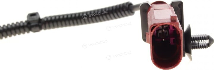 Solgy 115065